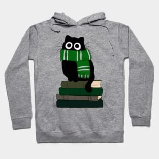 cat with green scarf on book stack Hoodie